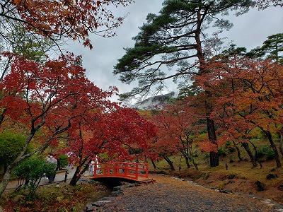 momiji1