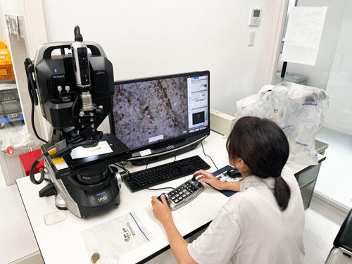 20250910history-archaeology01