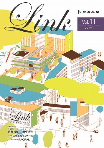 link_vol11