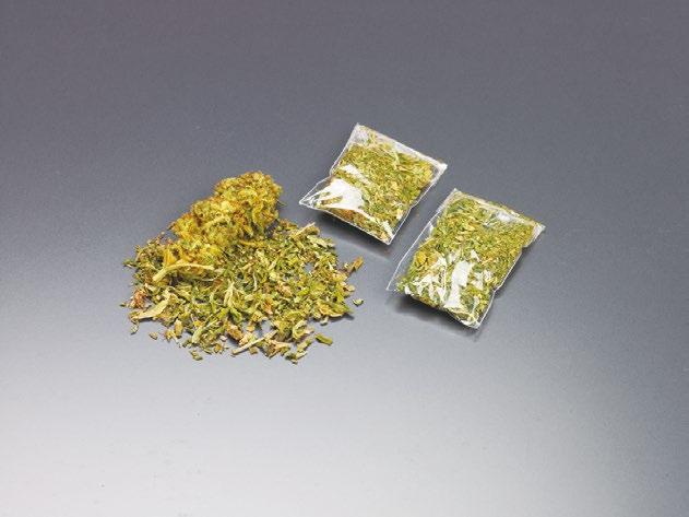 大麻.jpg