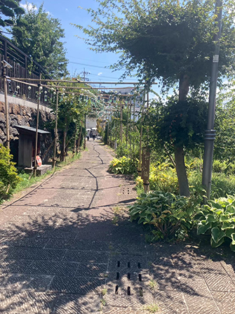 濱田ゼミナール