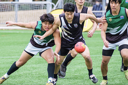 20230127magpies06